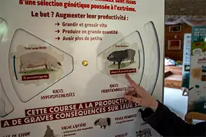 exposition itinérante durable